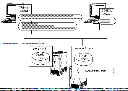 TRIMrpc in your enterprise.